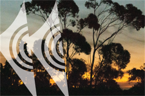 Charles Bagnall exhibition of the Horowhenua.